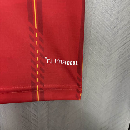 Spain 2026 home soccer jersey