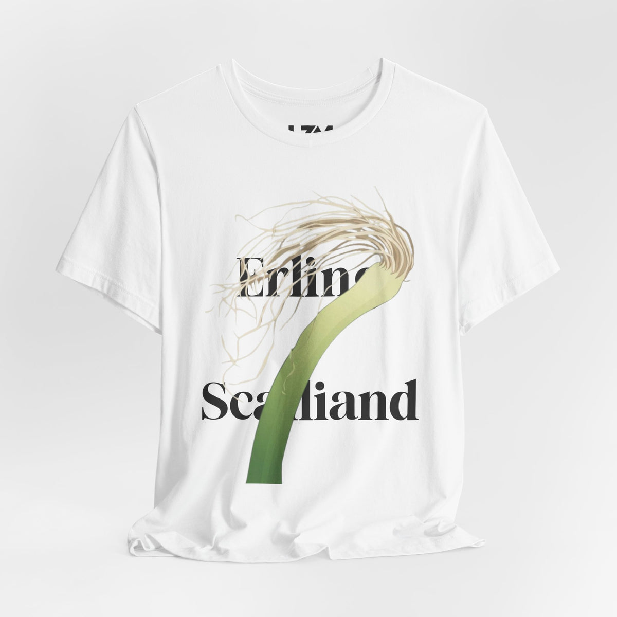 Meme t-shirt