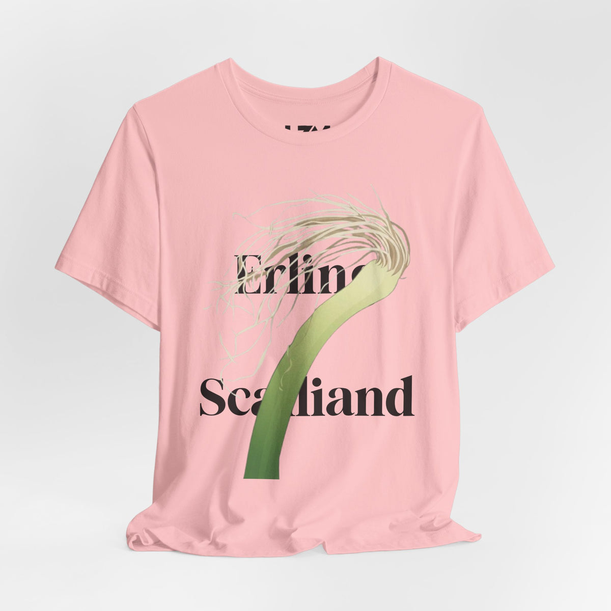 Meme t-shirt